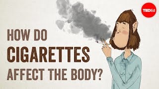 How do cigarettes affect the body  Krishna Sudhir [upl. by Hance184]