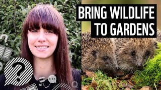 How to bring wildlife into your garden  WWF [upl. by Hebbe]