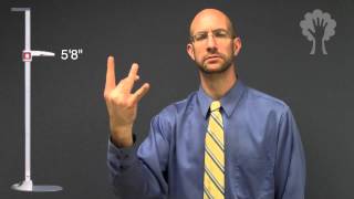 Telling Height  ASL  American Sign Language [upl. by Delmor]