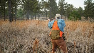 Alabama Quail  The Flush Season 9 Episode 12 [upl. by Arenat851]