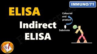 Indirect ELISA FLImmuno71 [upl. by Duky]