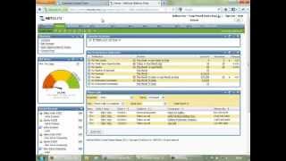 NetSuite Overview [upl. by Maddalena124]