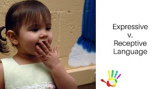 Receptive versus Expressive Language [upl. by Silbahc]