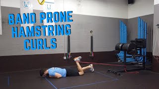 Prone Hamstring Curls with Resistance Band [upl. by Mcquillin]