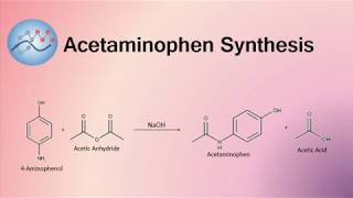 Acetaminophen Synthesis Mechanism  Organic Chemistry [upl. by Leland780]