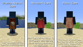 All Minecraft MINECON And Skin Pack Capes [upl. by Acinimod301]