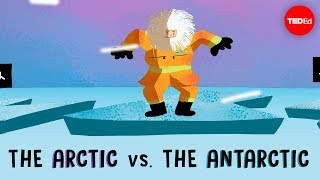 How to Survive as a Tiny Arctic Fox  Wild Alaska  BBC Earth [upl. by Reniti141]