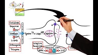 Pharmacology  DRUGS FOR PARKINSONS DISEASE MADE EASY [upl. by Ylicis]