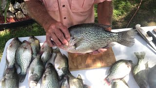 Cleaning Crappie The Old Fisherman Way [upl. by Pelpel]