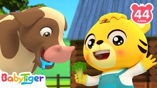 Old Macdonald Had a Farm🐄🐖🧑‍🌾 More Animal Songs  Educational Songs amp Nursery Rhymes  BabyTiger [upl. by Eduard]