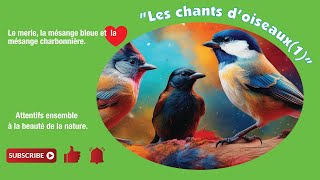 les chants doiseaux 1 [upl. by Ellesij]