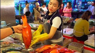 Sanya Fish Market  China  Hainan Island [upl. by Atoiganap]