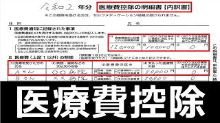 【申請すれば、税金が安くなる】医療費控除の明細書の書き方・確定申告の医療費控除を解説。 [upl. by Irep]