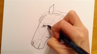 Beginners Lesson  How To Draw A Horse [upl. by Rawde737]