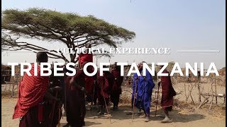 Cultural Experience Tribes Of Tanzania  Safari365 [upl. by Penrose]