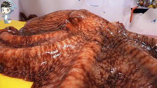 KOREAN STREET FOOD GIANT OCTOPUS DEVIL FISH KOREA SEAFOOD MARKET 포항 송도활어회센터 문어 090321 [upl. by Bat]