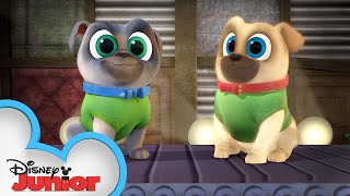 Project Funway  Puppy Playcare  Puppy Dog Pals  Disney Junior [upl. by Buskirk351]