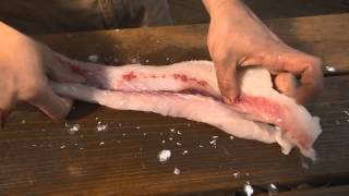 Invasive Carp  Filleting amp Cooking [upl. by Aisital475]