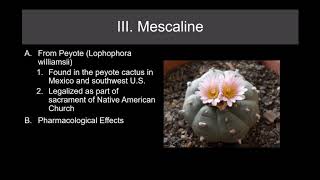 Lecture 20 Psychedelic Drugs Part 1 [upl. by Jolenta873]