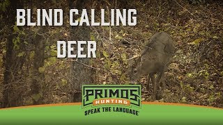 Tips for Blind Calling Deer [upl. by New311]