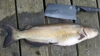 Catfish Catch Clean amp Cook  Bank Fishing Tips and How to Catch Catfish from Shore [upl. by Alyl]