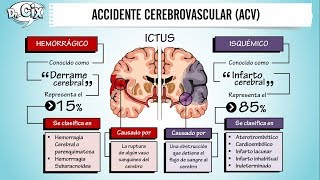 Cerebrovascular accident  Stroke [upl. by Finkelstein987]