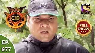 CID  सीआईडी  Ep 977 Jungle Mystery  Full Episode [upl. by Blondie]