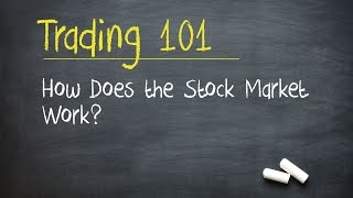 Trading 101 How Does the Stock Market Work [upl. by Yesnel]