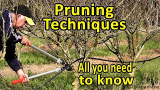 Pruning Fruit Trees  Pruning Techniques  Essential Pruning Course [upl. by Nrublim343]