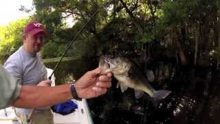 Lets go Fishing in Palatka FL on the St Johns River [upl. by Aisetal]