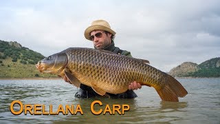 ORELLANA CARP amp GUADIANA RIVER  Our 2019 Trip Montage [upl. by Halimeda]