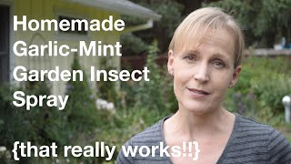 Homemade GarlicMint Garden Insect Spray that really works  AnOregonCottagecom [upl. by Iteerp]