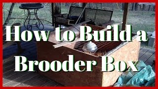 How to Build a Homemade Brooder Box that will last for years on your homestead [upl. by Eeltrebor]