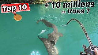 Les 10 Vidéos de Pêche en France LES PLUS VUES [upl. by Ayinat]