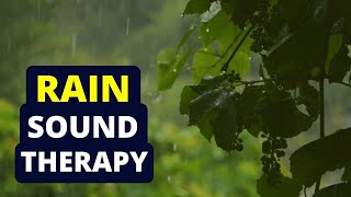 Tinnitus Sound Therapy  Rain Water [upl. by Perlis225]