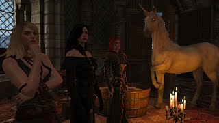 Triss Yennefer and Keira surprise Geralt  Witcher 3 [upl. by Anoed285]