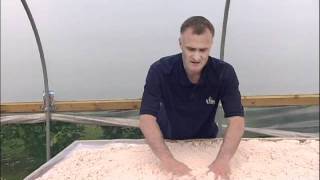 Propagation How to create a misting propagation bench part 1 [upl. by Namyaw]