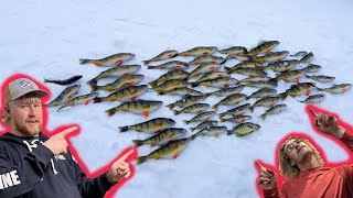 Ice Fishing In Northern Michigan Jumbo Perch [upl. by Tess879]