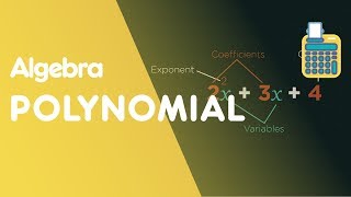 What Are Polynomials  Algebra  Maths  FuseSchool [upl. by Nazario938]