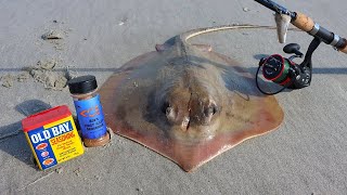 CATCH AND COOK STINGRAY TASTY OR GROSS [upl. by Ogilvie504]