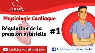 41 Régulation de la Pression Artérielle partie 01  Physiologie 2ème MED [upl. by Noyad]