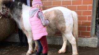 Reiten lernen mit der PonyTruppe  Teil 3  Das Putzen [upl. by Yrkcaz722]