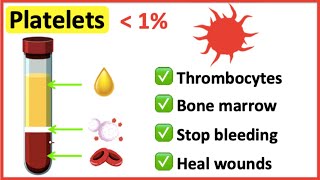 Platelets  What do platelets do [upl. by Hsuk]