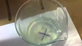 Sodium Thiosulphate Reaction With Hydrochloric Acid [upl. by Ibby]