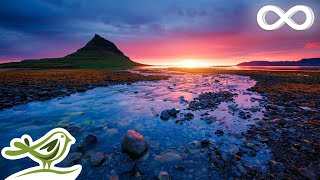 Relaxing Music for Stress Relief Flutes Violin Cello Harp amp Piano Music ★142 [upl. by Fridlund]