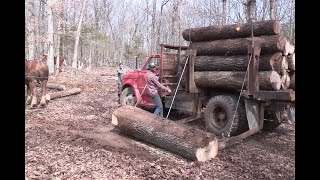 Horse Logging with Roy Pilgrim [upl. by Eyot]