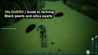 Ark Valguero  Guide to Farming Black Pearls and Silica Pearls [upl. by Aiza858]