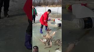 Ice river Fishing iceriverfishing [upl. by Uzzia]