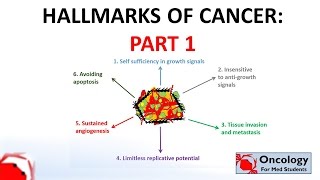 4 Hallmarks of Cancer part 1 [upl. by Anesusa]