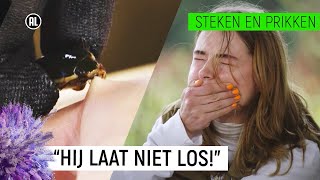 Instructiefilm Insuline toedienen met een insulinepen schoolopdracht [upl. by Keriann]